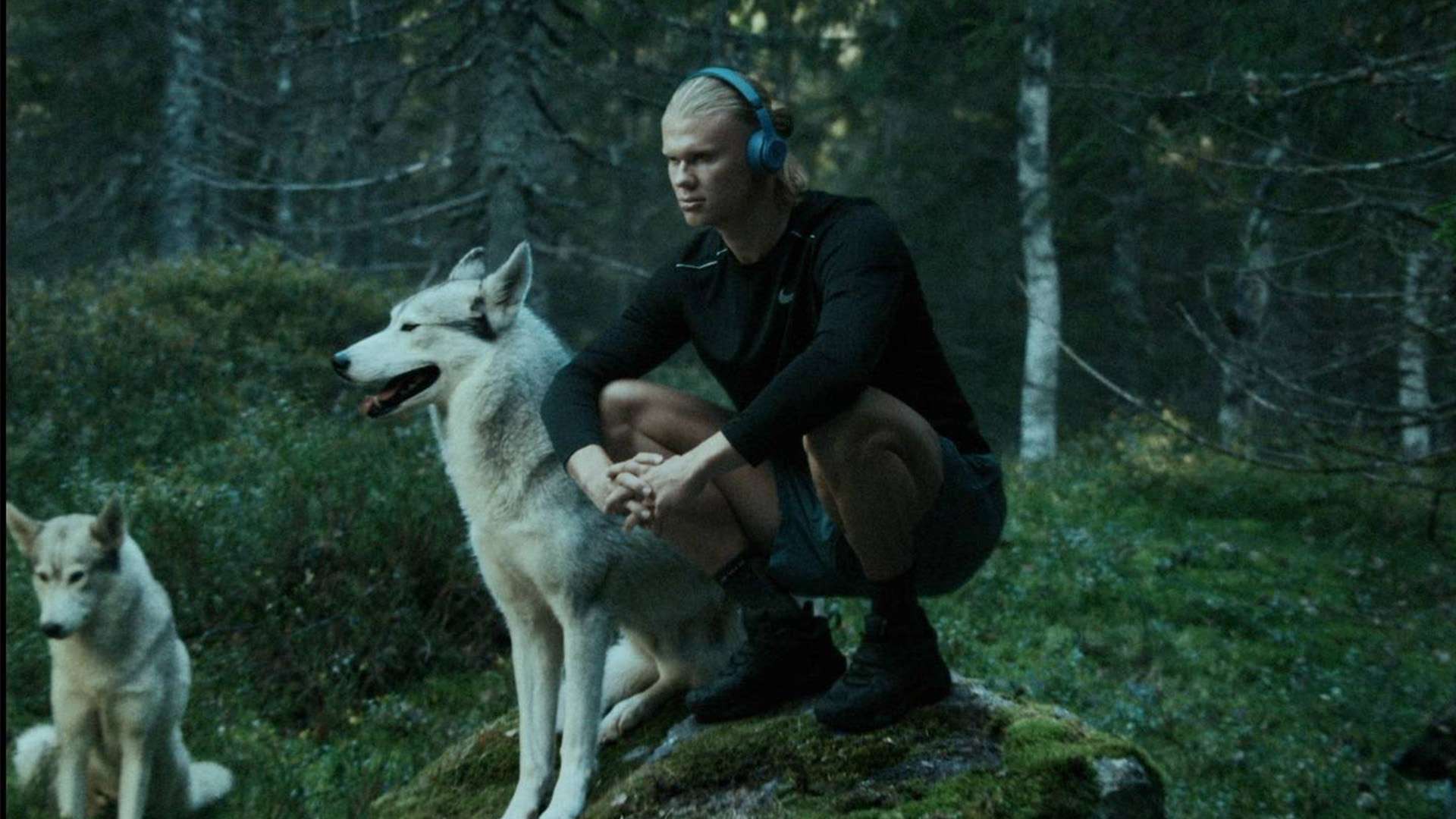 他贡献了全 他贡献了全